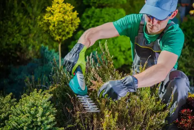 landscaping services Manton